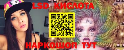 прущие грибы Малгобек