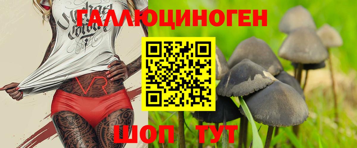 Галлюциногенные грибы MAGIC MUSHROOMS Черняховск