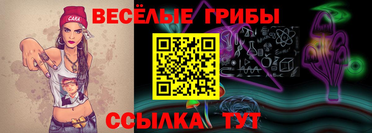 Черняховск  Псилоцибиновые грибы мухоморы  Псилоцибиновые грибы ЛСД  Вход с VPN 